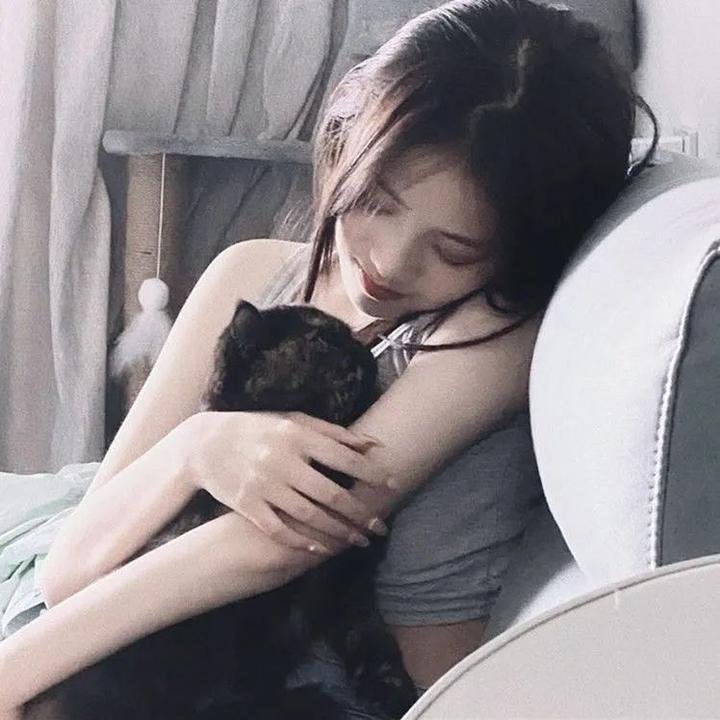 猫侍2
